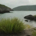 Ostras de Bahía en un entorno marino con crecimiento de algas y vida marina