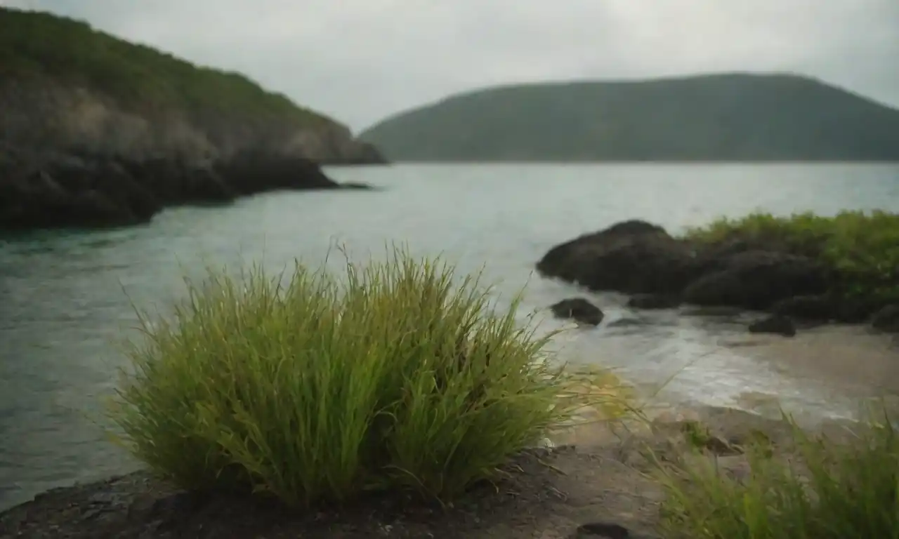 Ostras de Bahía en un entorno marino con crecimiento de algas y vida marina