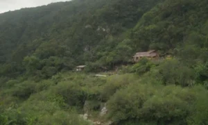 Un exuberante paisaje natural con alojamientos ecológicos y turistas que participan con la naturaleza.