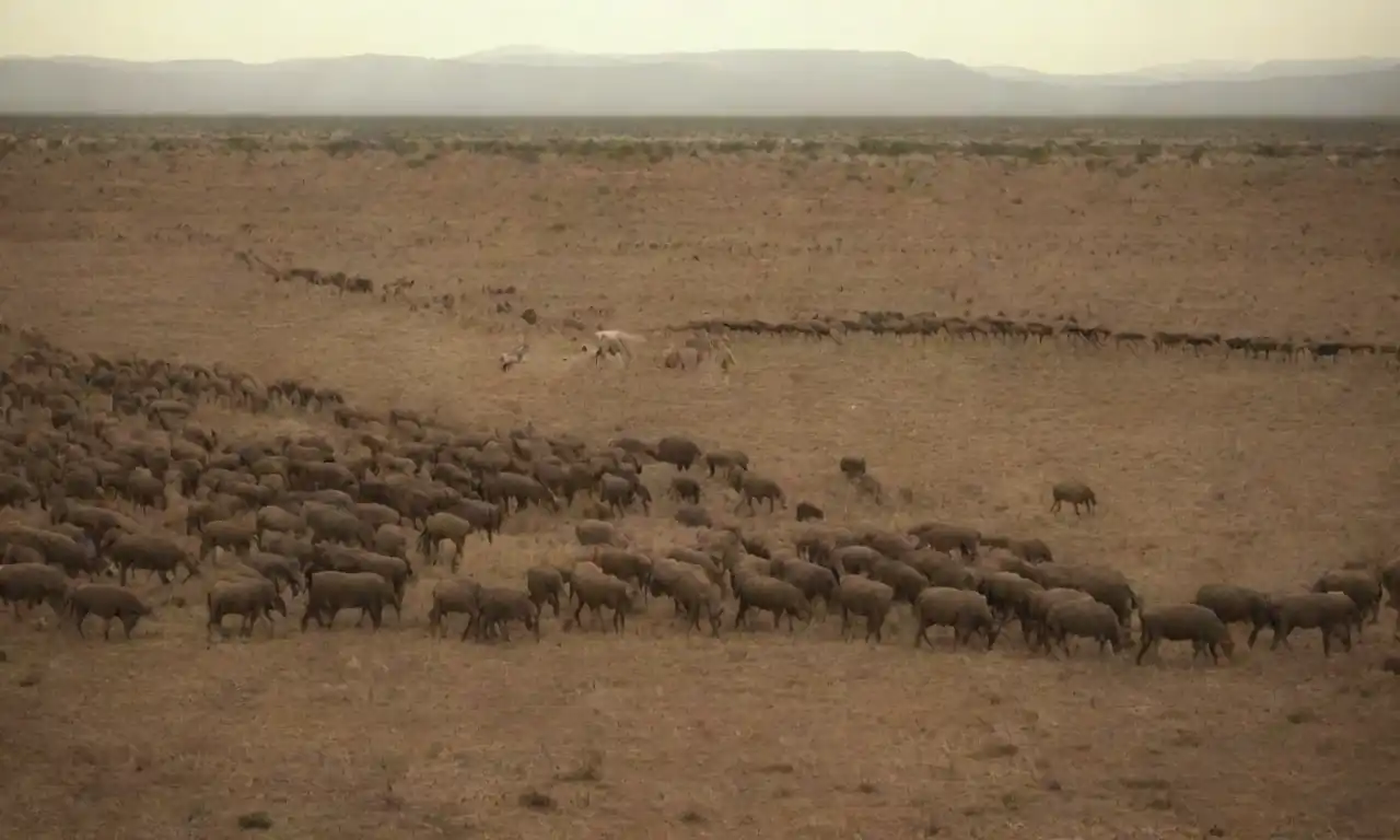 Una visión de los animales migrando a través de un paisaje cambiante