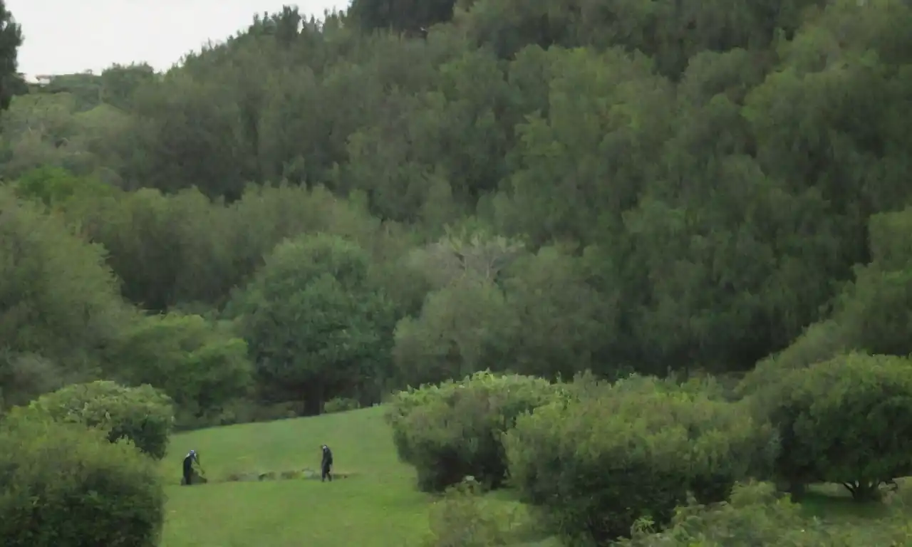 Paisaje urbano con árboles