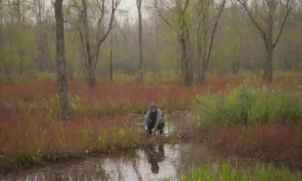 Una vibrante escena de humedales que muestra diversidad de flora y fauna