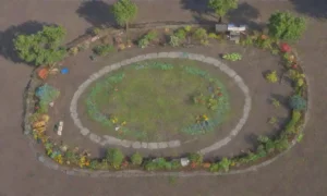 Un bosque verde vibrante con personas unidas