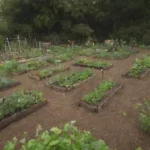 Un jardín comunitario con diversas plantas y elementos de diseño que ilustran los principios de permacultura urbana.