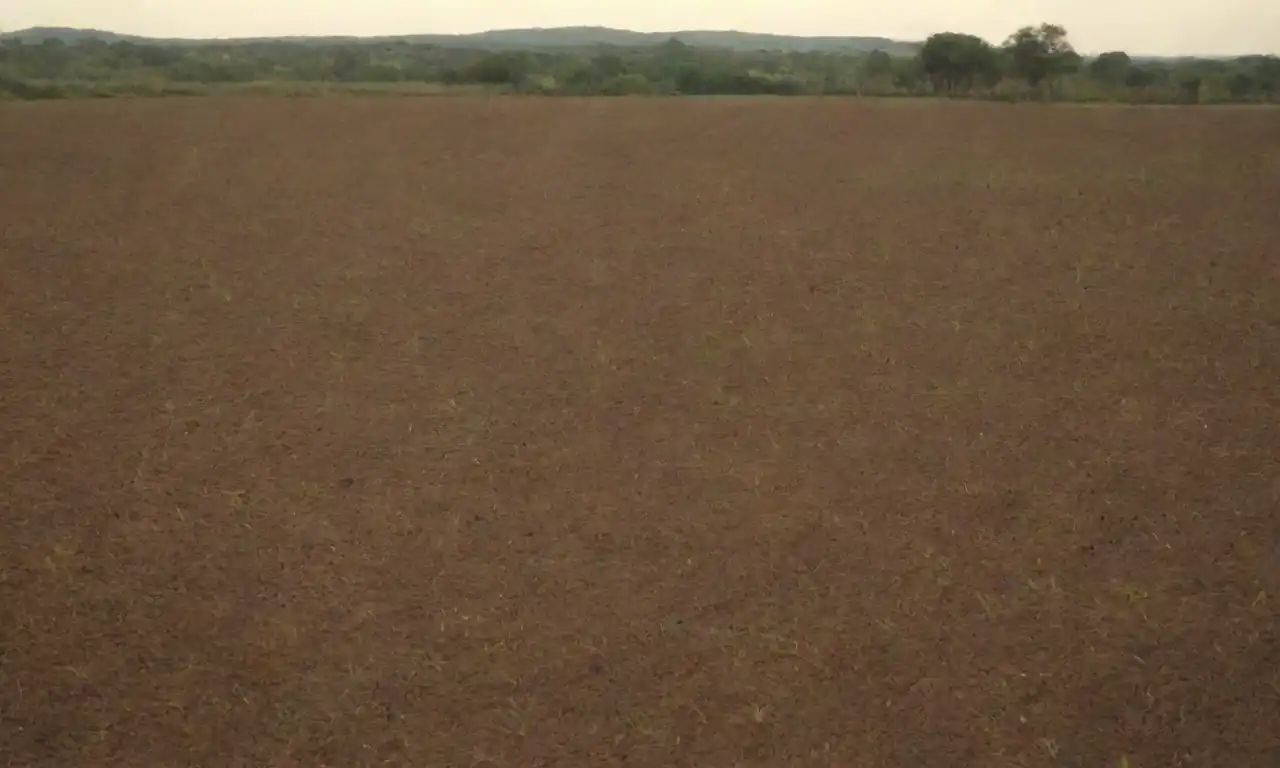 Campo seco con cultivos marchitos y agricultores preocupados en el horizonte.