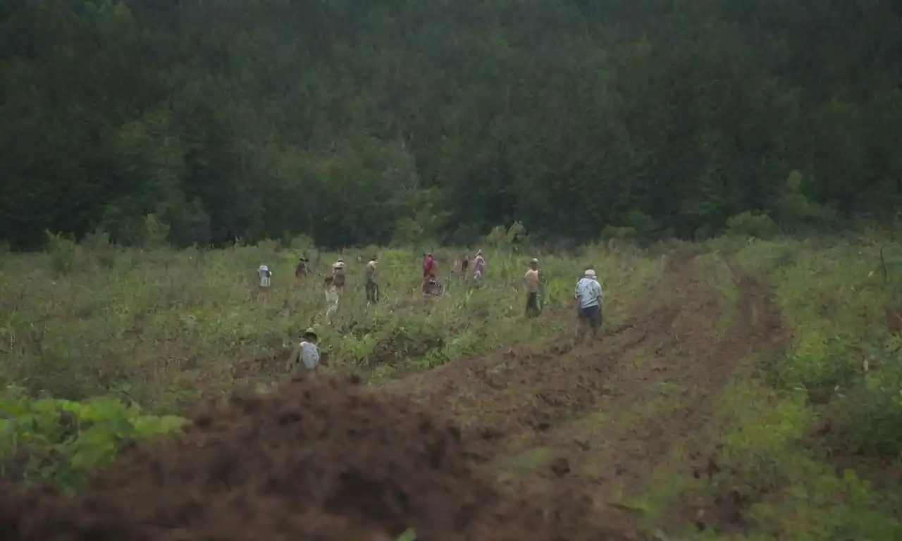 Un ecosistema diverso con personas que practican técnicas agrícolas y forestales sostenibles.