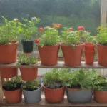 Cómo utilizar la hidroponía en un huerto urbano casero