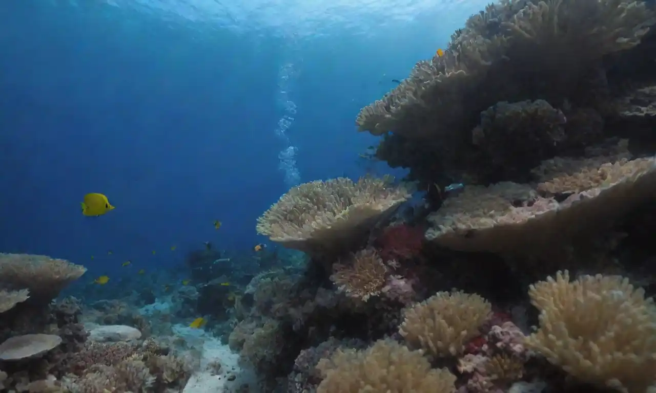 Un ecosistema marino vibrante con corales